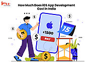 How Much Does iOS App Development Cost in India | FODUU