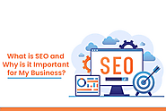 What is SEO and Why is it Important for My Business?