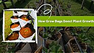 Maximizing Your Harvest: How Grow Bags Boost Plant Growth