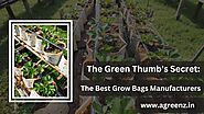 The Green Thumb's Secret: Unveiling the Best Grow Bags Manufacturers