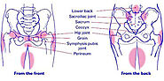 Pelvic Pain - OB/GYN Physicians Brooklyn Heights, NYC