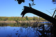 Flood Plains National Park