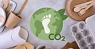 Restaurants and Climate Change: How the Food Industry Can Reduce Carbon Footprint | Do Your Order