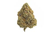 A Sweet & Potent Gelato Strain Review From Our Online Dispensary