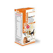 Puppy Power: Multivitamin Syrup for Optimal Growth and Health