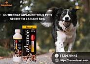 Invest in Your Pet's Health: Buy Nutri Coat Advance - Remediovet