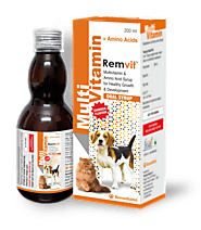 Dog Multivitamins: A Beneficial Way to Care for Your Four-Legged Friend
