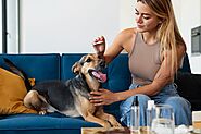 Enhance Your Dog’s Health and Wellbeing with The Best Supplements