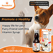 Tail-Wagging Wellness: The Ultimate Dog Vitamin Syrup