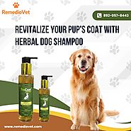 Naturally Fresh Paws: Herbal Dog Shampoo for Healthy Fur