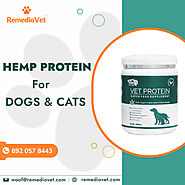 Tail-Wagging Nutrition: Organic Dog Protein Powder