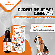Canine Care Multivitamin Syrup: RemedioVet