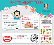 Facts about teeth