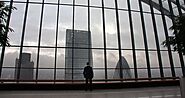Wellbeing at Work Courses: A Guide to Building a Healthier Workplace - Gallantium