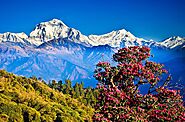 Uttarakhand Tourism, Explore places to visit in uttarakhand
