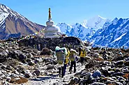 Langtang Valley Trek - A Breathtaking 11-Day Himalayan Adventure: Hiking Bees