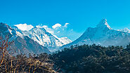 Mount Everest 3 High Passes Trek - 20 Days: Hiking Bees