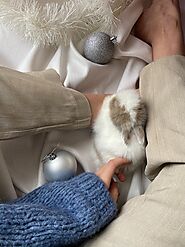 Rabbit Care: Understanding The Needs Of Your Furry Friend