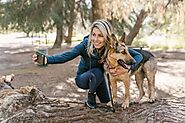 The Ultimate Guide To Training Your Dog: Tips And Tricks For A Well-Behaved Companion • Petsandfish 2023