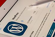 5 Ways WordPress Website Development to Business Growth and Scalability - WebDotNine