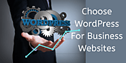 Why You Should Choose WordPress For Business Websites - WebDotNine