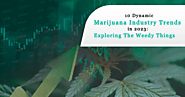 10 Dynamic Marijuana Industry Trends in 2023: Exploring The Weedy Things