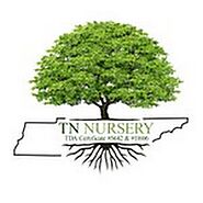 Top TN Nursery in the USA