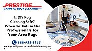 Is DIY Rug Cleaning Safe? When To Call In The Professionals For Your Area Rugs | Smash Negativity