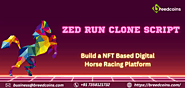 Zed Run Clone Script - Build an NFT based digital horse racing platform