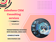 The Best Salesforce CRM Consulting Services Provider | Tenetizer Technologies