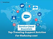 Maximize Efficiency and Minimize Costs with Salesforce Service Cloud | Tenetizer Technologies