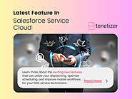 Maximize Customer Experiences with Field Service Lightning | Tenetizer Technologies