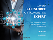 Partner with Tenetizer Technologies for Expert Salesforce CRM Consulting Services