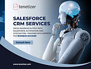 Automate Your Business with Salesforce Integration and Migration Services | Tenetizer Technologies