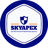 SkyApex - The Result Driven Web Designing & SEO Company In India