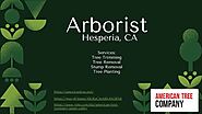 Arborist Hesperia, CA