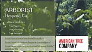 Arborist Hesperia, CA