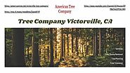 Tree Cutting Company Victorville, CA