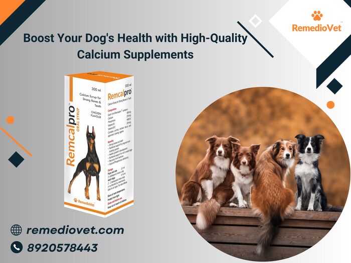 Calcium for Dogs A Listly List