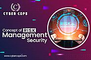 Risk Management Security: Cyber Cops Expert Insights