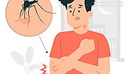 Як позбутися комарів та інших кровосисних комах ᐈ LifeHack.co.ua
