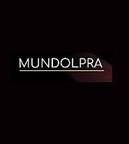 Mundolepra - Comprar réplicas de bolsos, bolsos de imitación