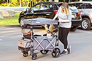 11 Best Baby Wagon Stroller for Every Kind of Family