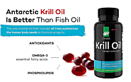 Daiwa krill Oil