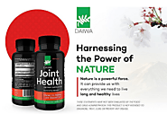 Daiwa Joint Health