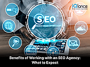 Benefits of Working With an Best SEO Agency: What to Expect