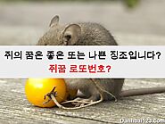 쥐의 꿈은 좋은 또는 나쁜 징조입니다? 쥐꿈 로또번호?