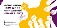 Advocacy in Action: How NGOs Protect and Promote Human Rights