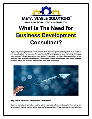 What is The Need For Business Development Consultant