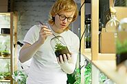 Building Your Own Terrarium Jar: A Green and Stylish Hobby